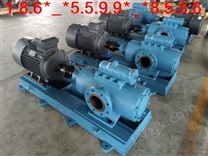 工业泵黄山双螺杆泵HYSNH120-46ZG