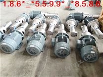 工业泵黄山螺杆泵动画HGRD40-38LR（带联轴器）