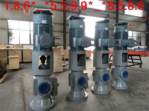 黄山铁人泵业燃油泵HSNS280-46/Y132M-4（260L/min，7.5KW）