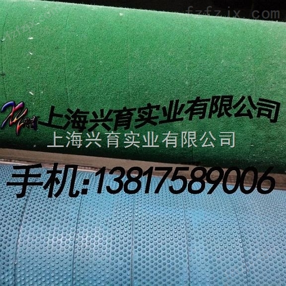 供应纺织机用国产蓝色粒面糙面带
